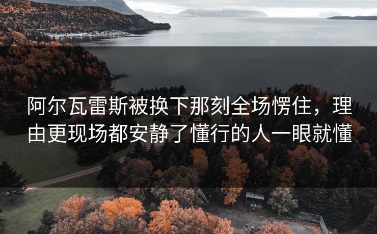 阿尔瓦雷斯被换下那刻全场愣住,理由更现场都安静了懂行的人一眼就懂