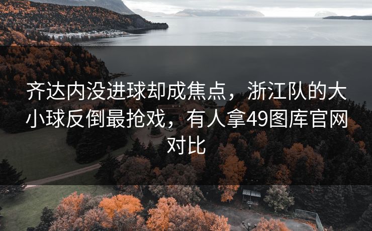 齐达内没进球却成焦点，浙江队的大小球反倒最抢戏，有人拿49图库官网对比