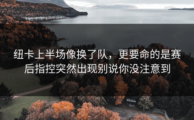 纽卡上半场像换了队，更要命的是赛后指控突然出现别说你没注意到