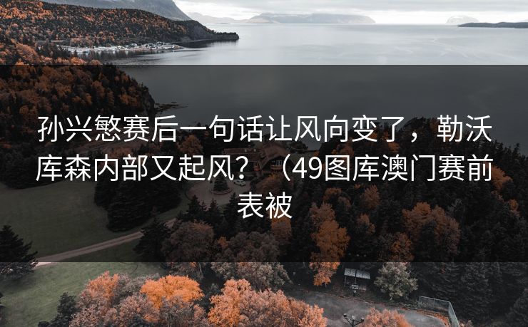 孙兴慜赛后一句话让风向变了，勒沃库森内部又起风？（49图库澳门赛前表被