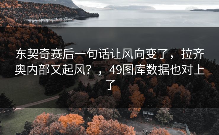东契奇赛后一句话让风向变了，拉齐奥内部又起风？，49图库数据也对上了
