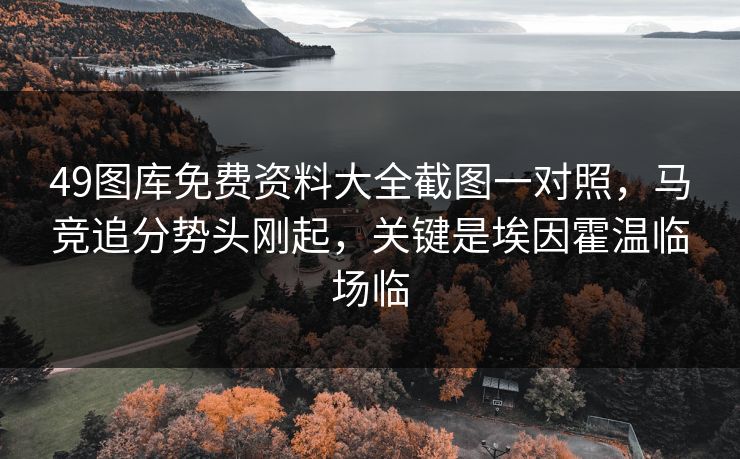 49图库免费资料大全截图一对照，马竞追分势头刚起，关键是埃因霍温临场临